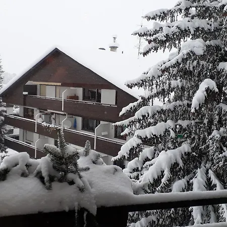 Appartement Bergblick 2